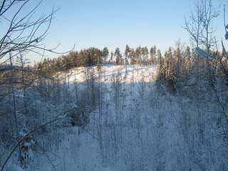 Отели типа «постель и завтрак» Lylyinen Manor Лохья-5